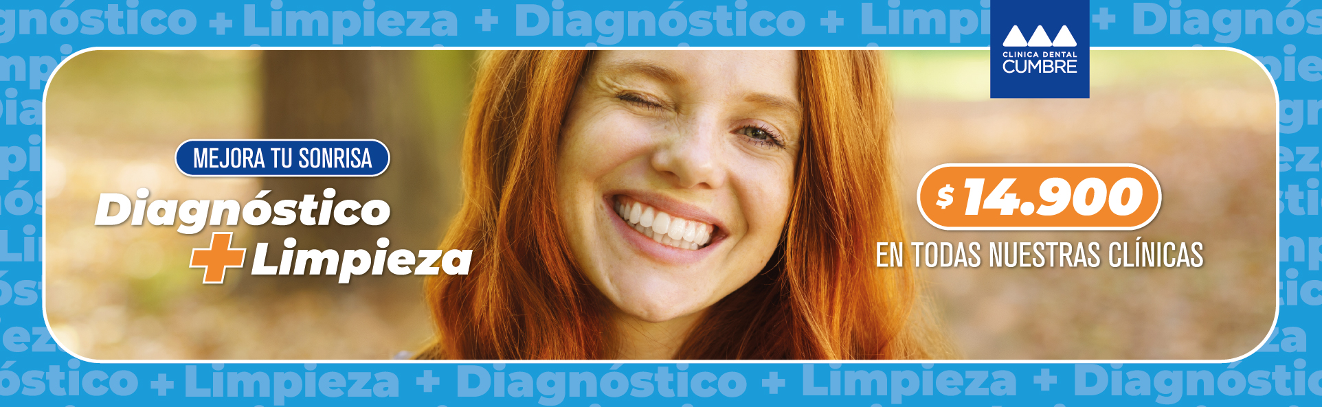 Diagnóstico + Limpieza